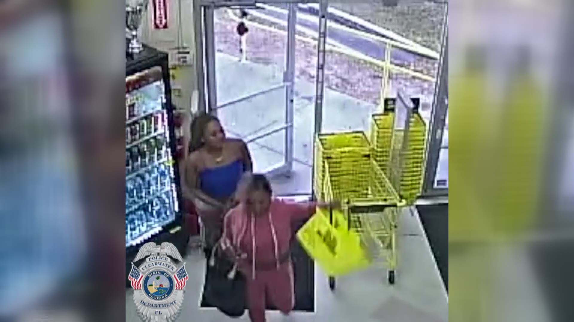 Clearwater police are trying to identify two women who they say stole from the Dollar General store at 1600 N. Myrtle Avenue.