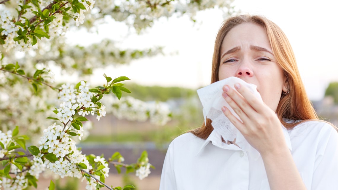 List: Tampa Bay cities that made Top 20 'allergy capitals' 2023