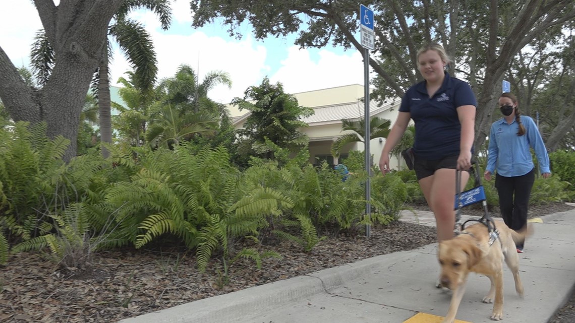 South Carolina visually impaired teen gets Palmetto guide dog - Vimarsana News