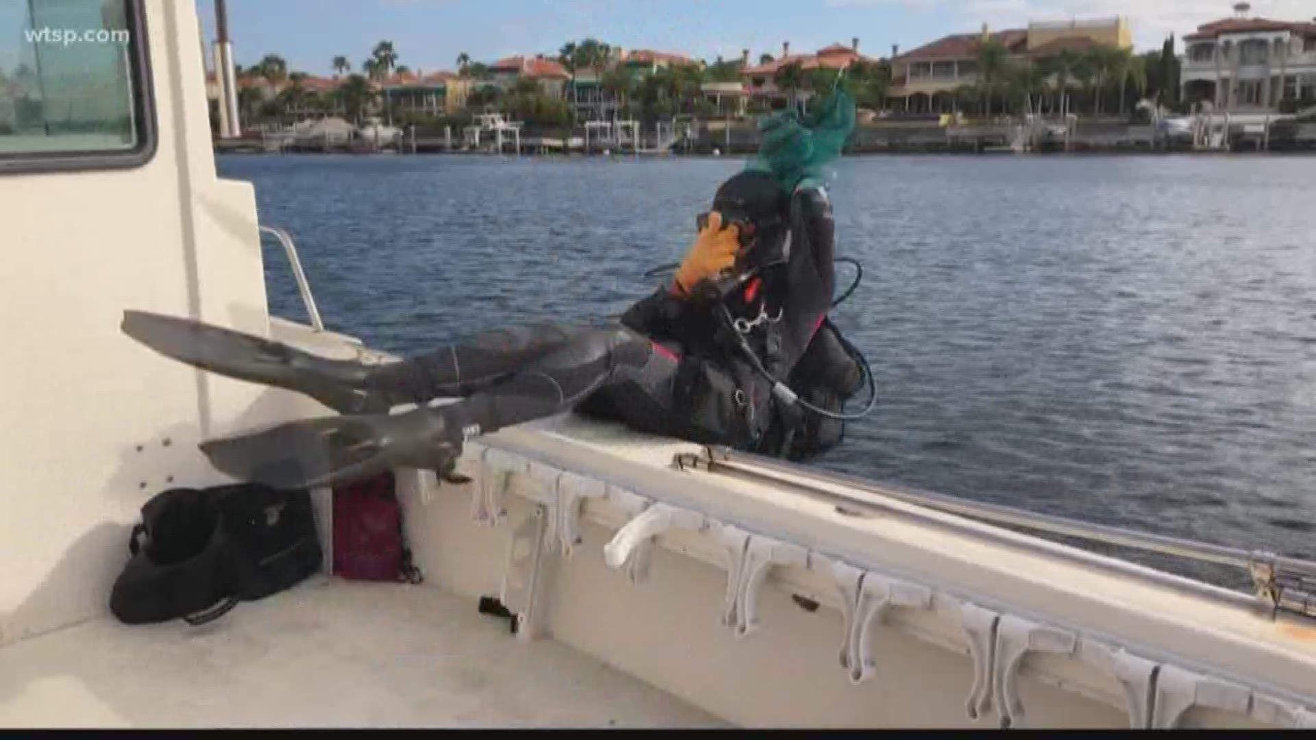 After the success of the Green Gasparilla, organizers push for the "Bead Free Bay" initiative.