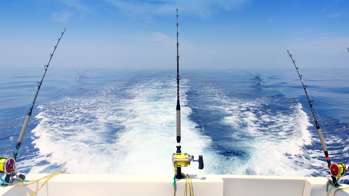 FWC restores online access to short-term non-resident fishing licenses ...