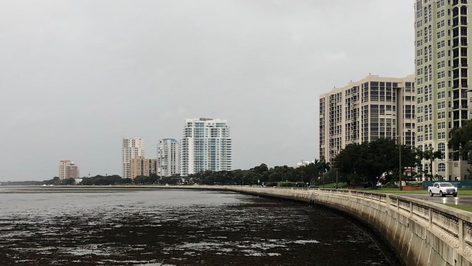 Why did the water in Tampa Bay recede? | wtsp.com