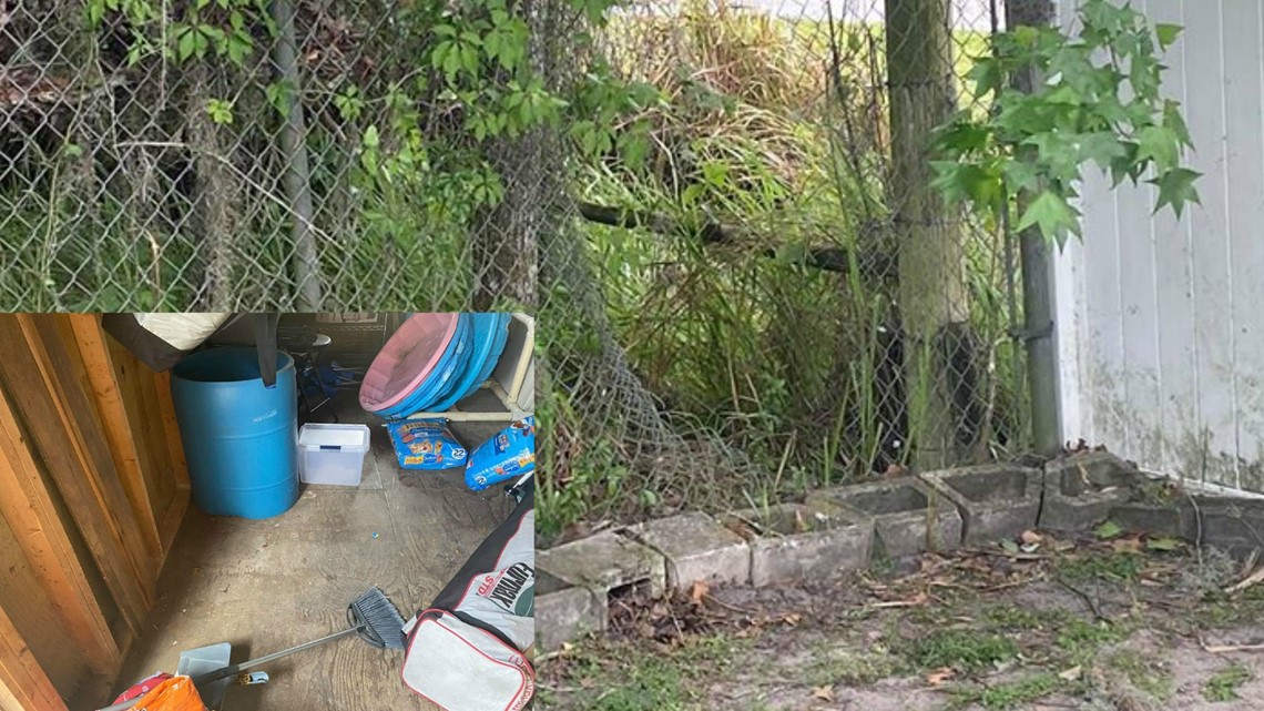 Humane Society Of The Nature Coast Broken Into Wtsp Humane society of the nature coast broken into wtsp