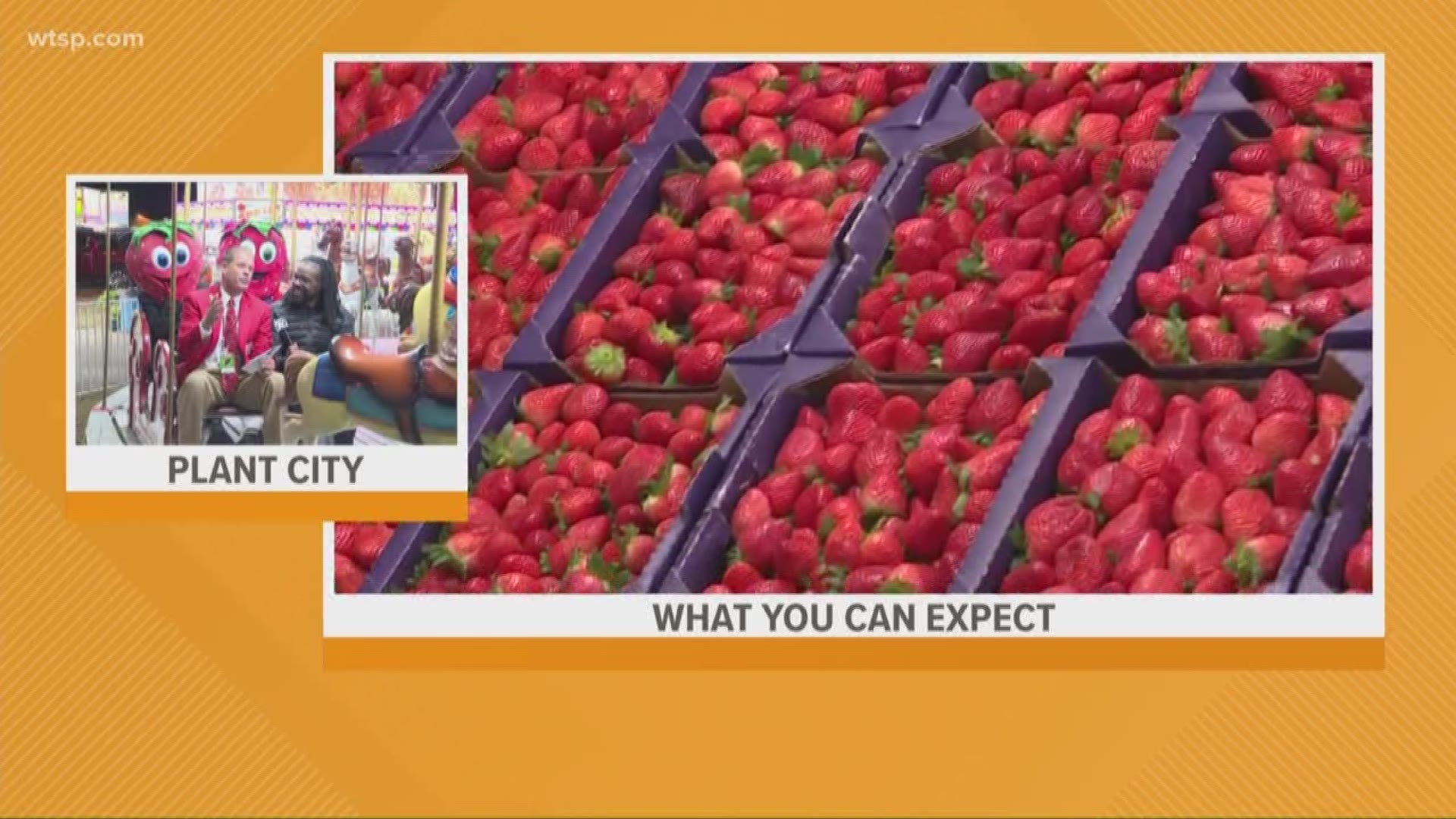 Jabari Thomas is in Plant City to preview this year's Strawberry Festival.