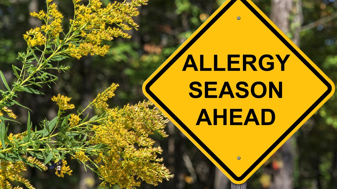 why-are-my-allergies-so-bad-in-florida-wtsp