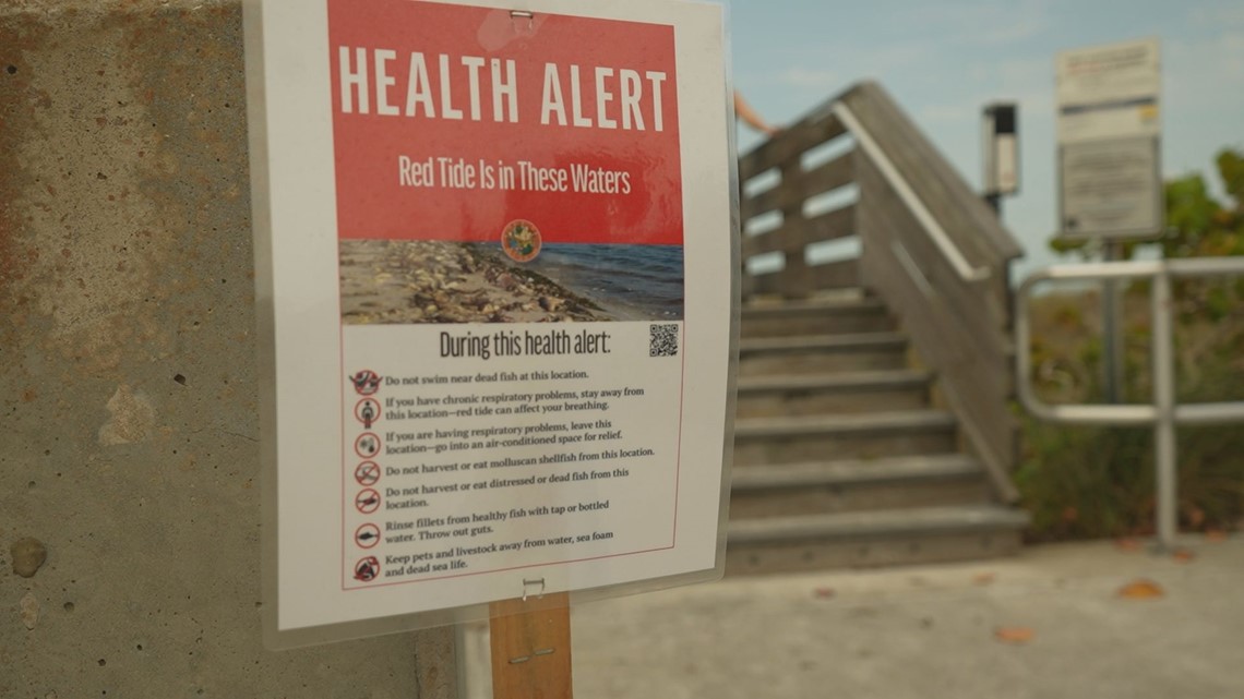 Pounds of dead fish removed from Indian Rocks Beach amid red tide - Vimarsana News