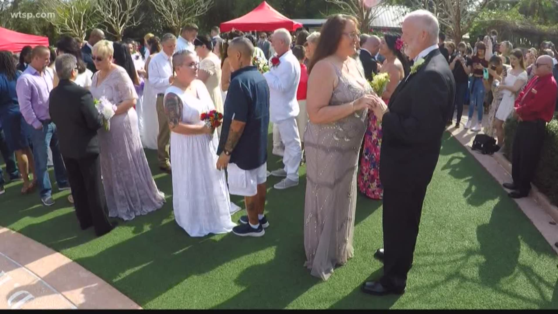 About 50 couples got married or renewed their vows all together at the Botanical Gardens in Largo.