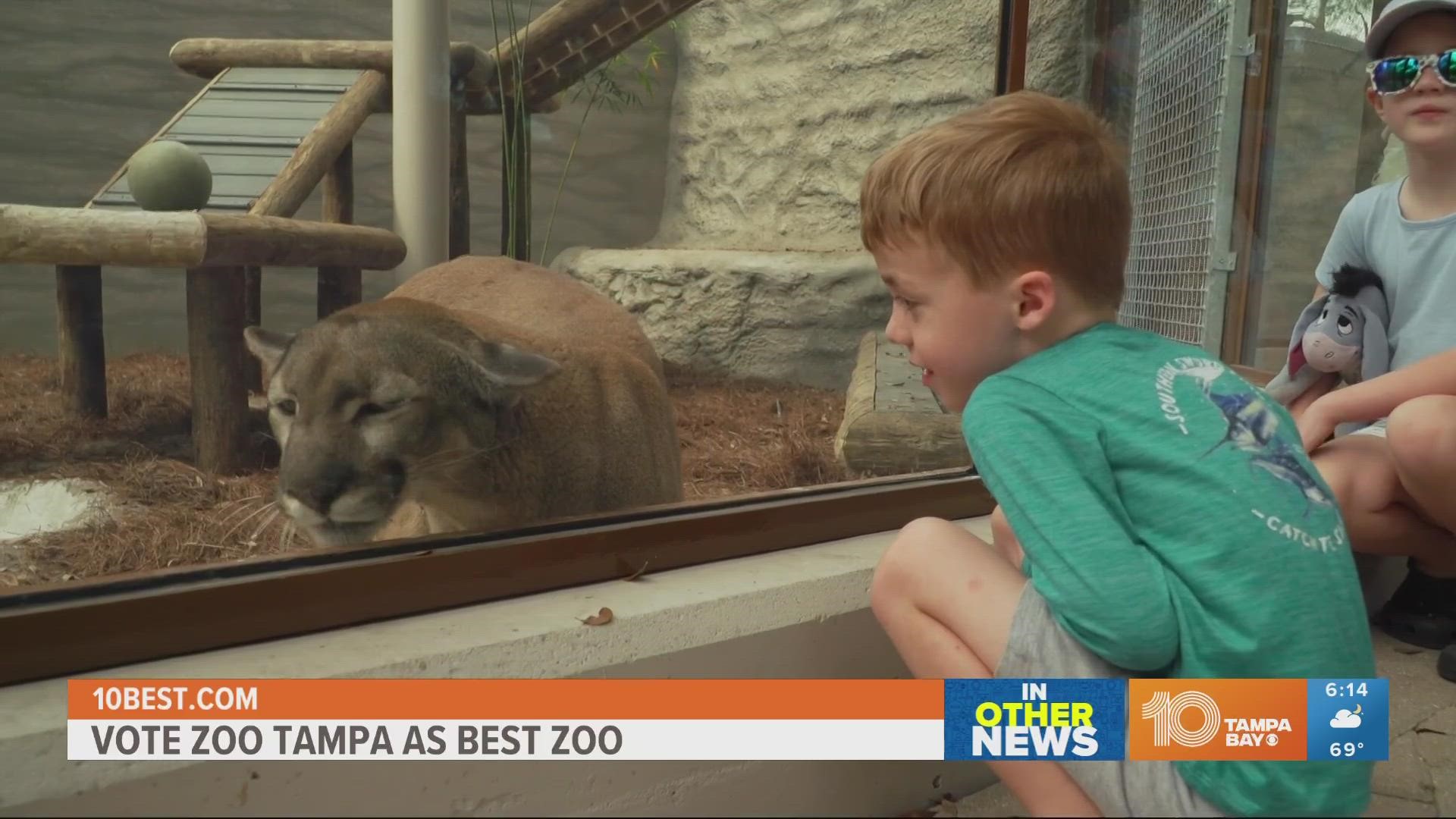 leje Maryanne Jones læsning ZooTampa voted among USA Today's Top 10 zoos in the US | wtsp.com