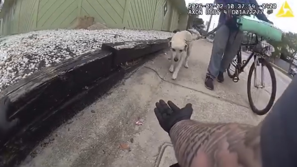 VIDEO: Florida officer helps dog walking on hot pavement