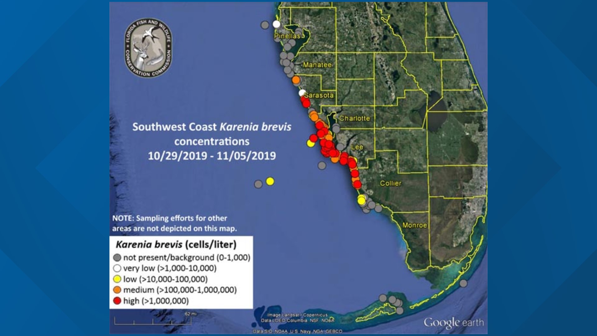 High levels of red tide reported in Sarasota County