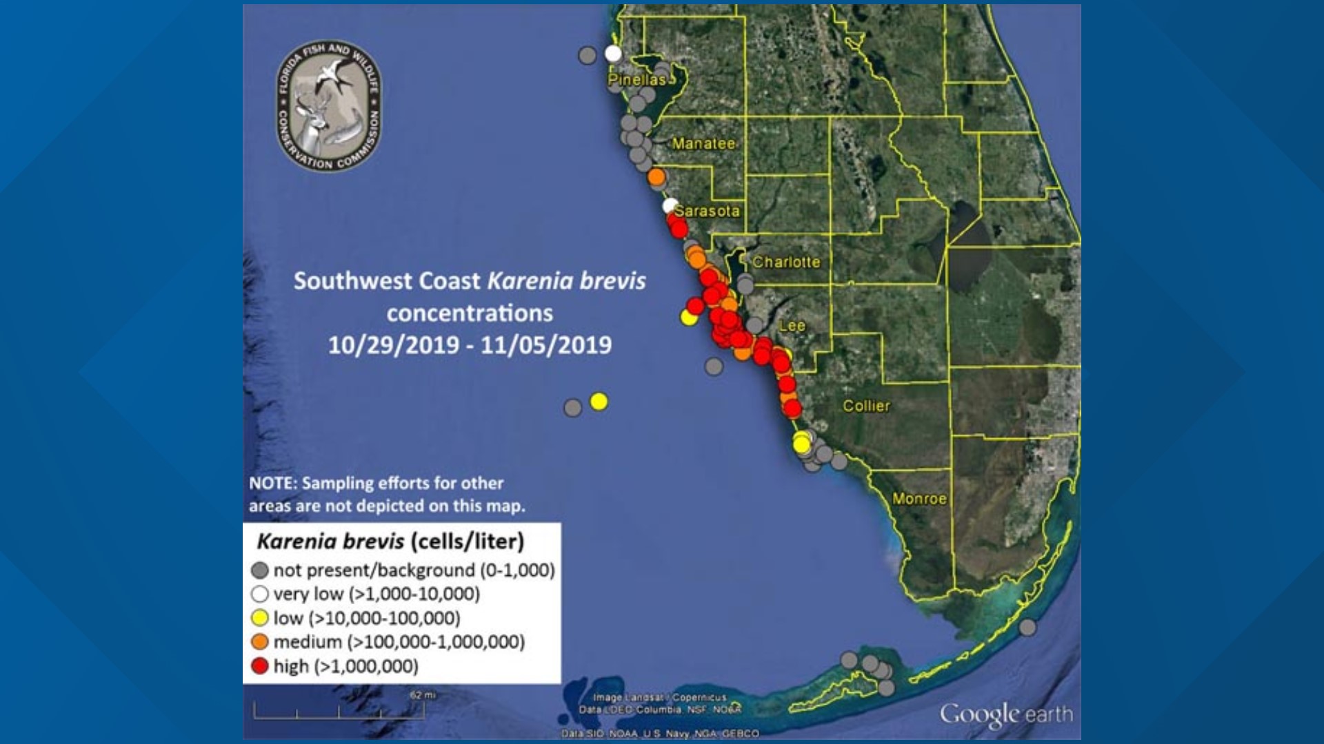 red tide florida 2021 prediction