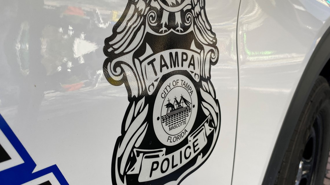 A look at safety preparations for Gasparilla Festival 2023 - Vimarsana News