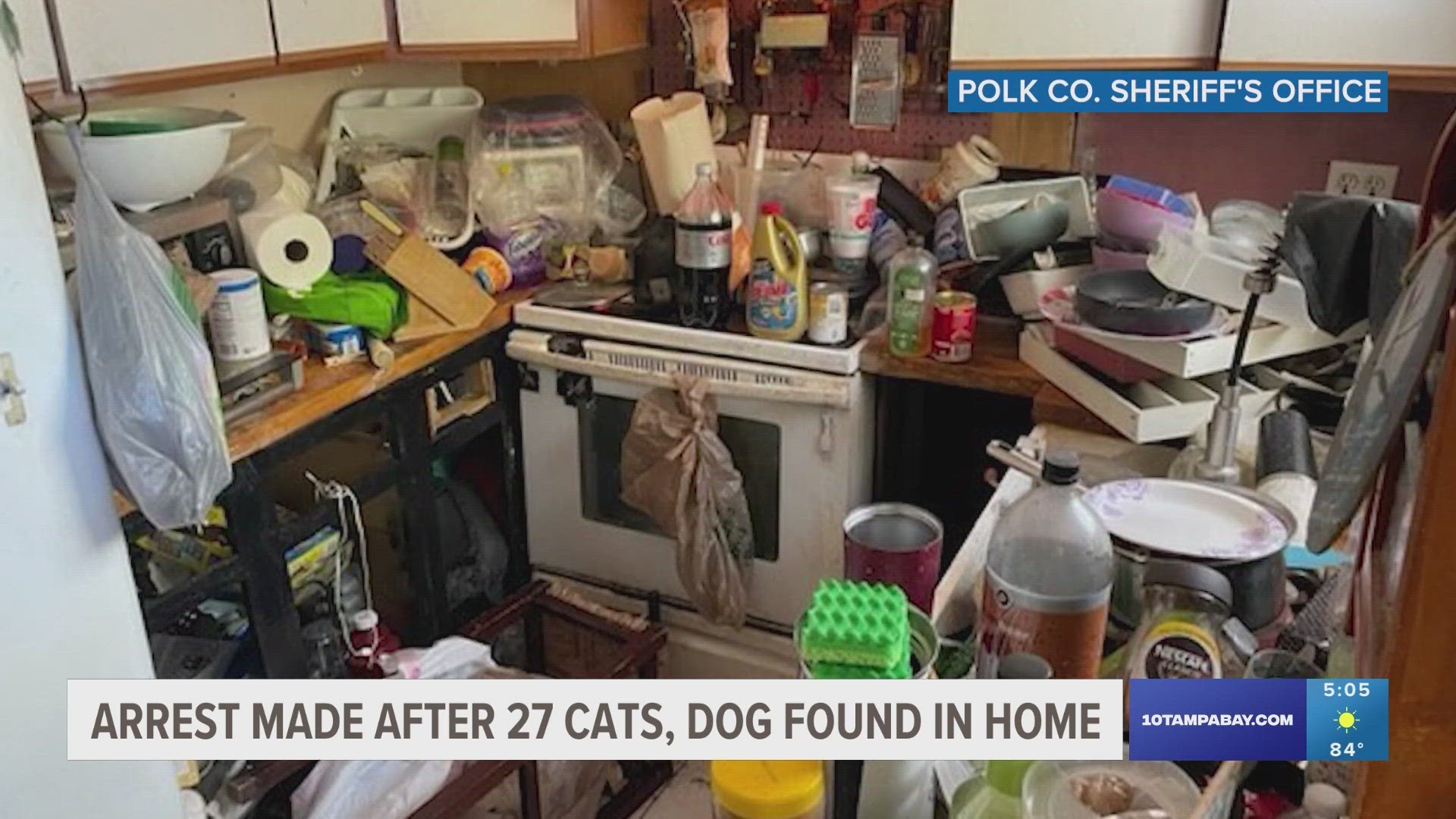 Nearly 30 animals were rescued, but five cats were found dead. This is the third animal hoarding case in Polk County since December, the sheriff's office said.
