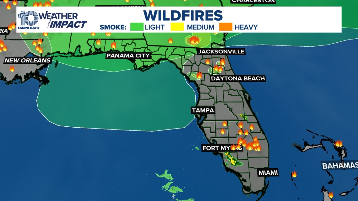 Drought deepens across Tampa Bay as rain falls short | wtsp.com