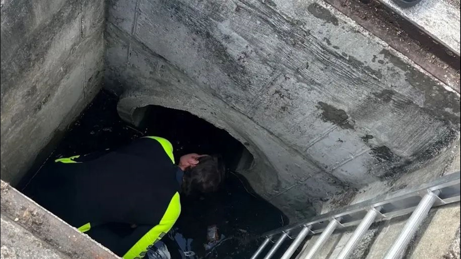 Florida woman found in storm drain for the third time | wtsp.com