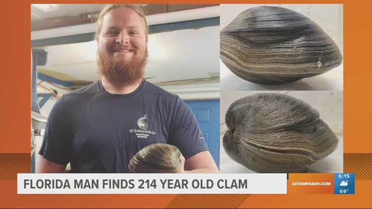 Florida man finds 214-year-old clam on beach