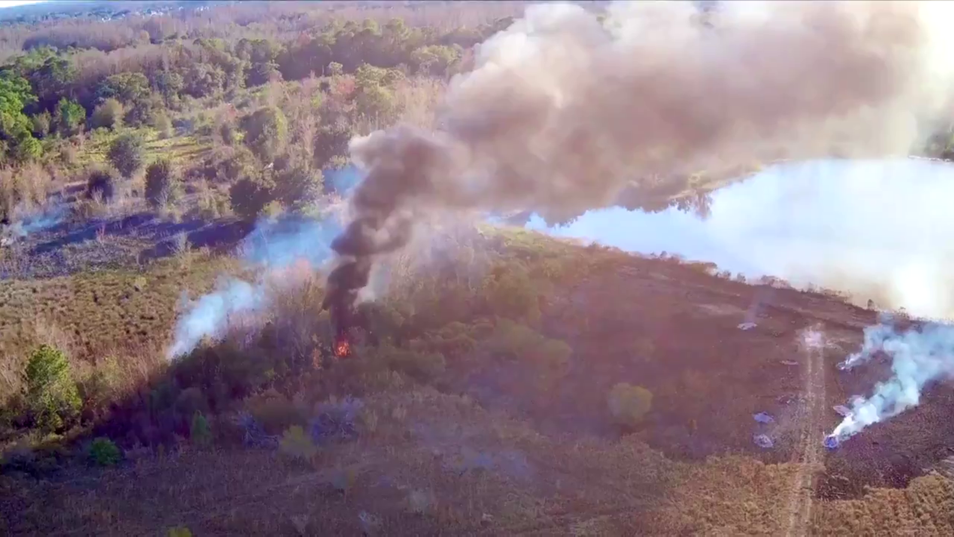 Pasco County brush fire: Firefighters working to put out flames | wtsp.com
