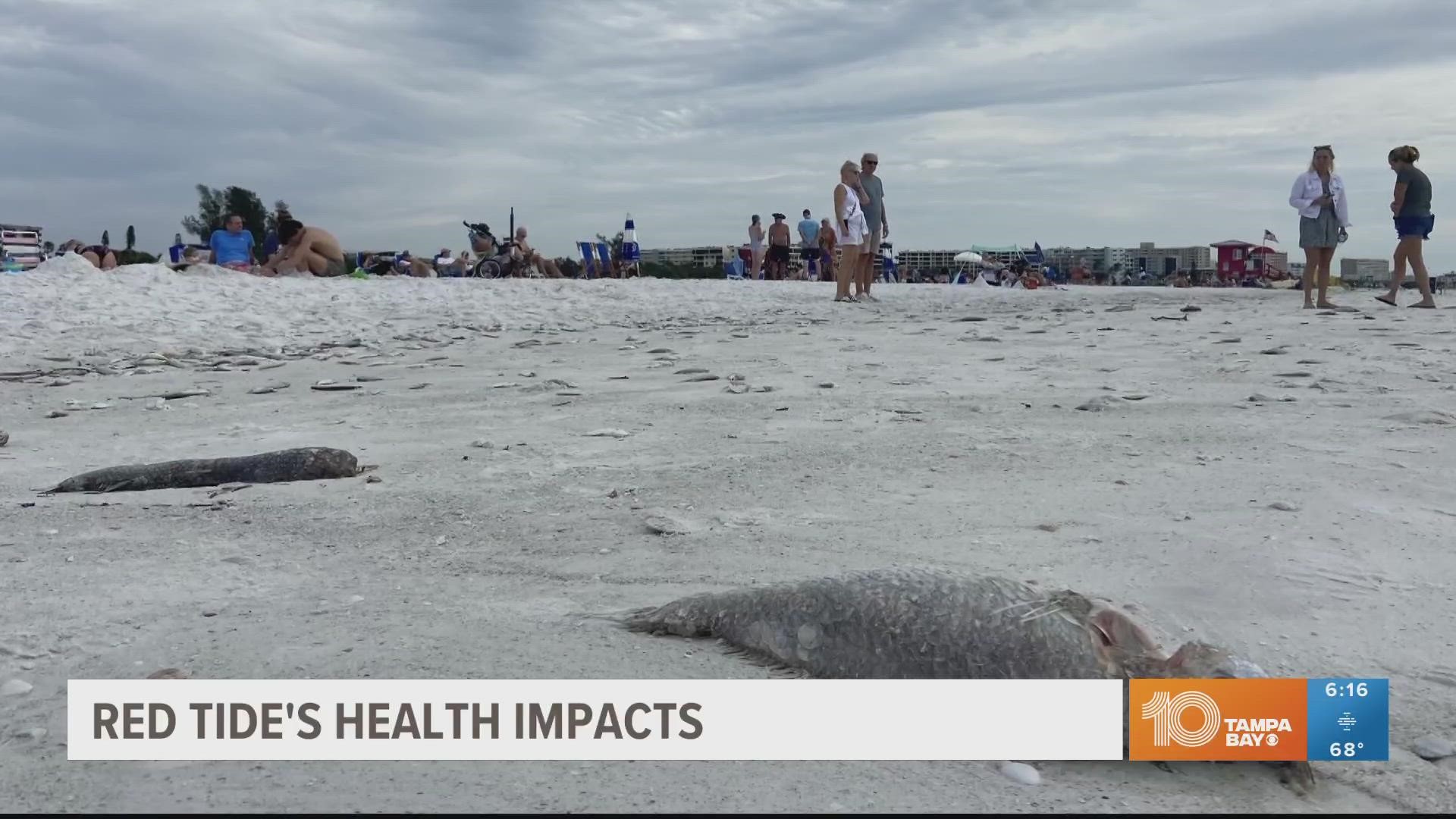 Red tide has already been plaguing Sarasota County beaches for months.