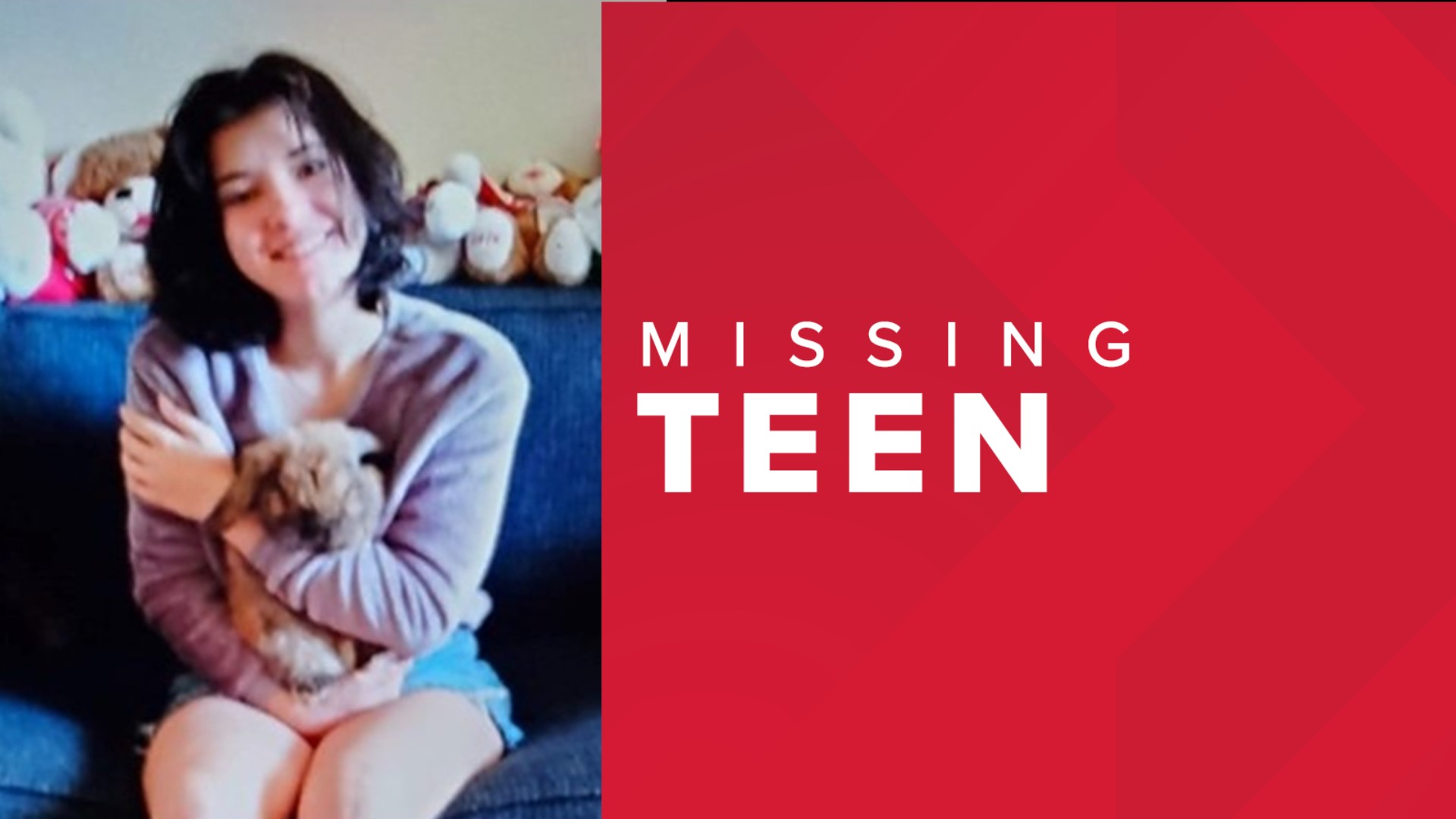 Sheriff 15 year old Last Seen In Land O Lakes Found Safe Wtsp