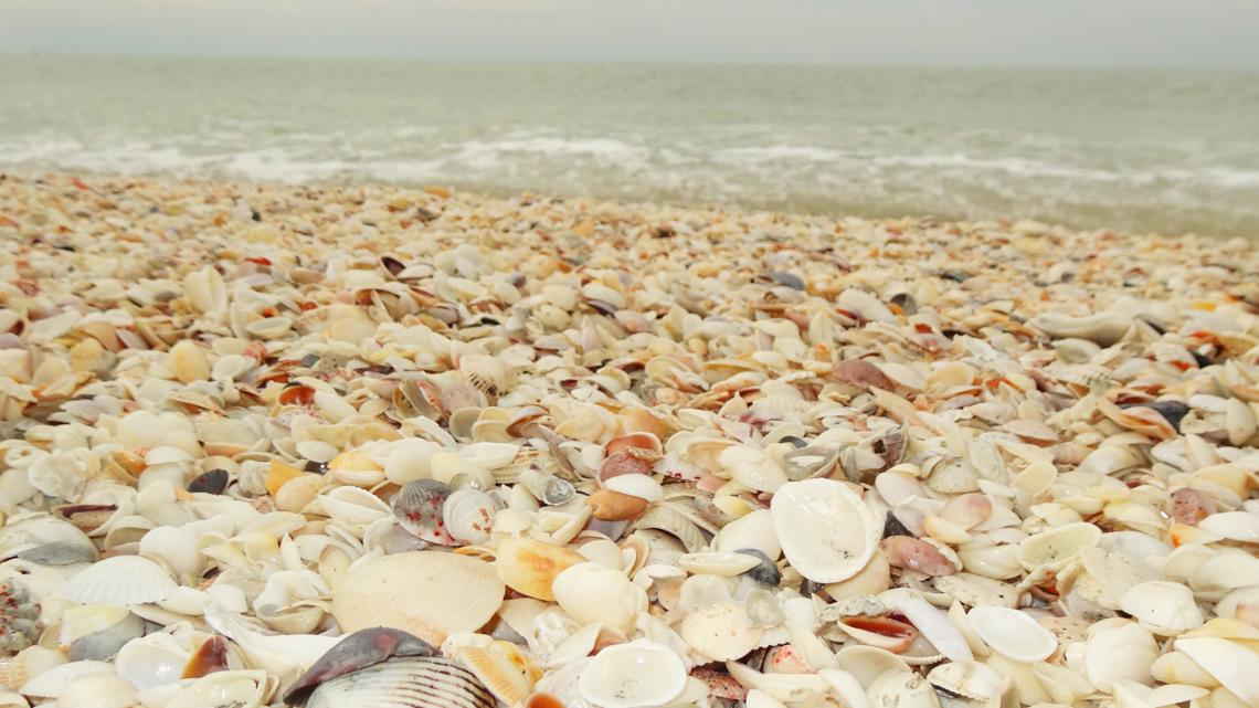 Sanibel island florida february weather