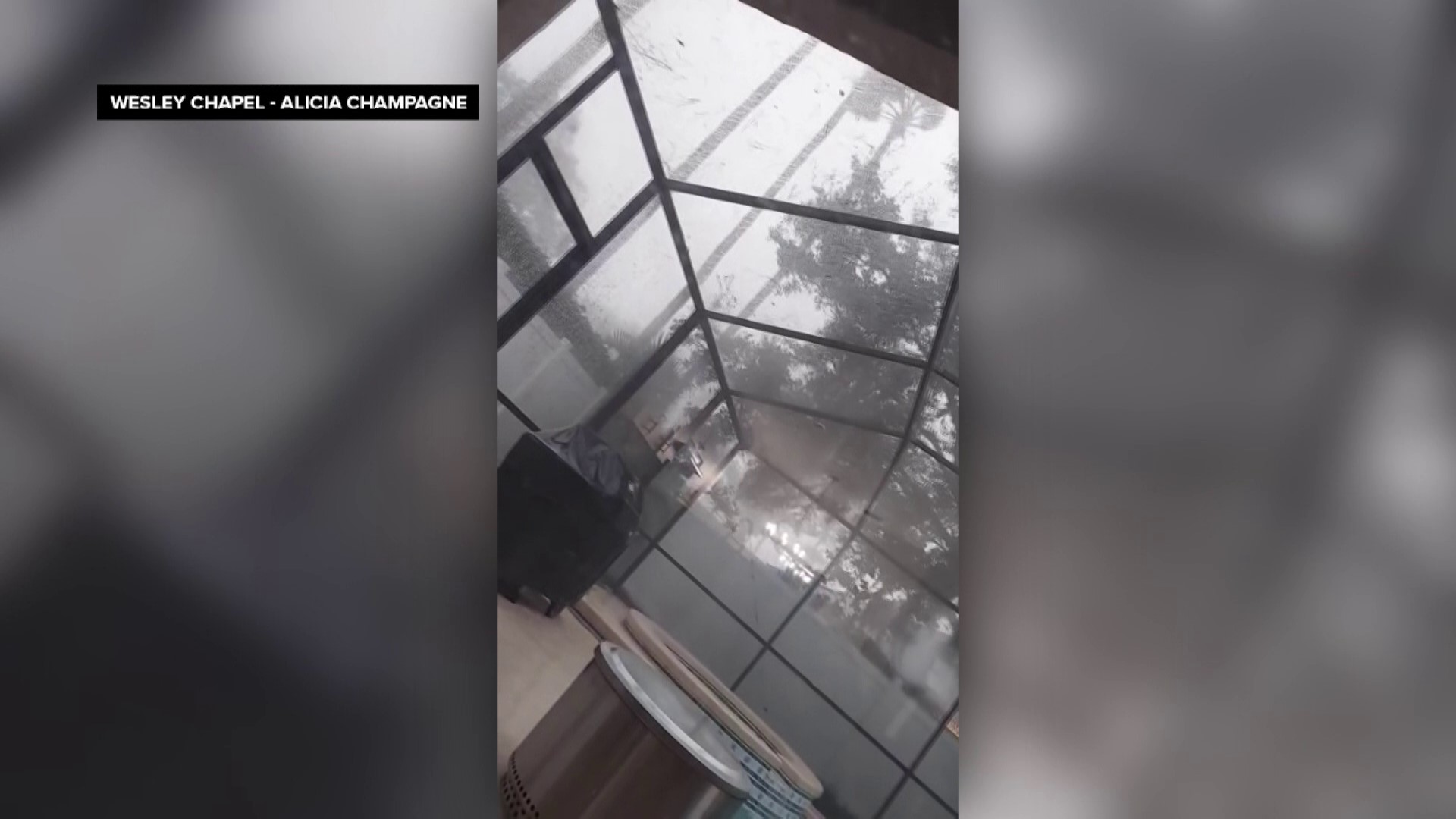 Video shows rain falling outside of a Wesley Chapel home as severe weather moved through the Tampa Bay region on Tuesday, Jan. 9, 2024.