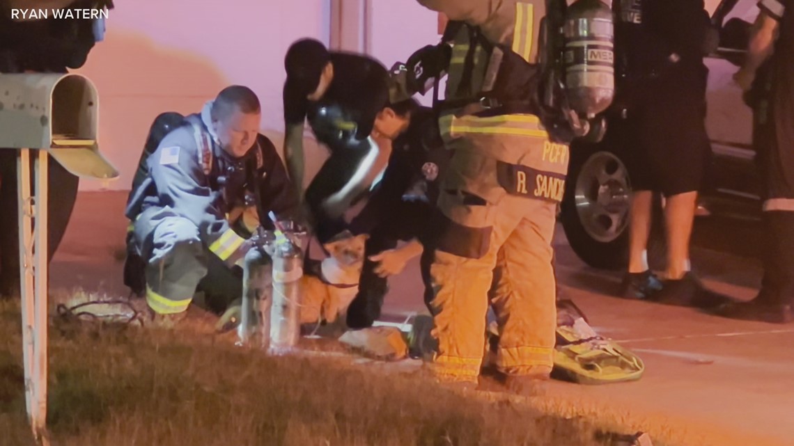 Two dogs rescued in Pasco County house fire - Vimarsana News