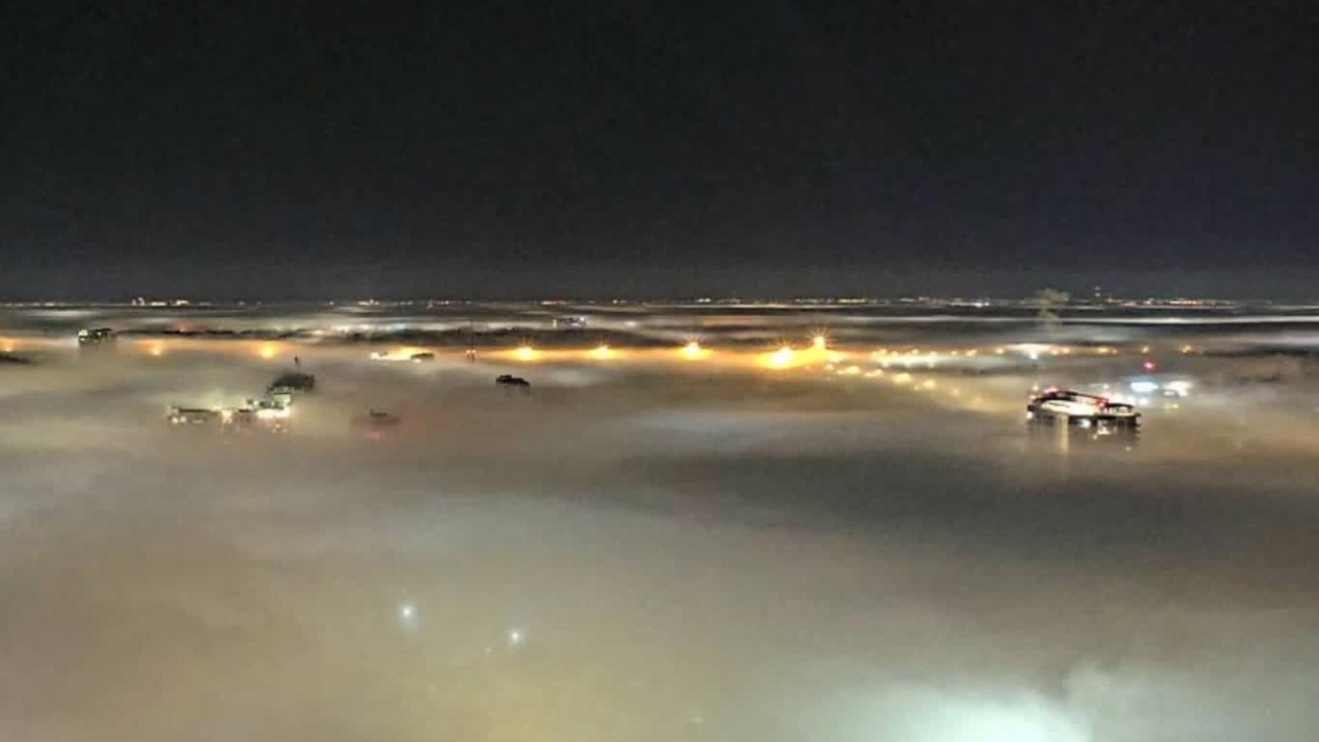 Dense fog descended upon the Tampa Bay area on Wednesday, prompting a dense fog advisory.