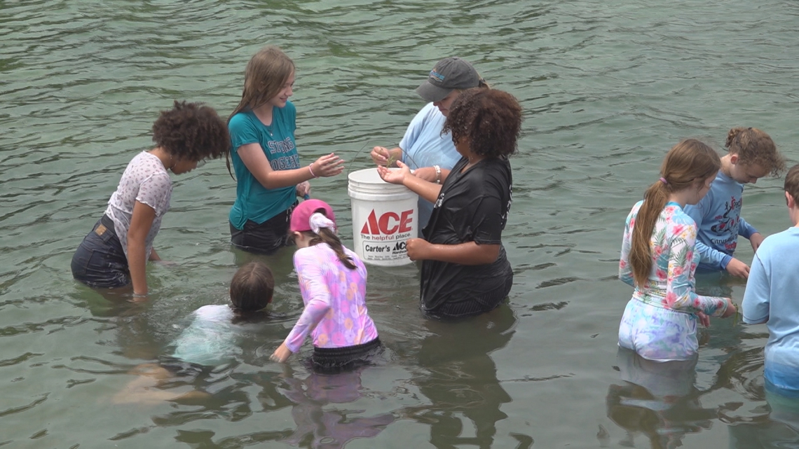 Students plant plant 'rockstar eelgrass' in Crystal River