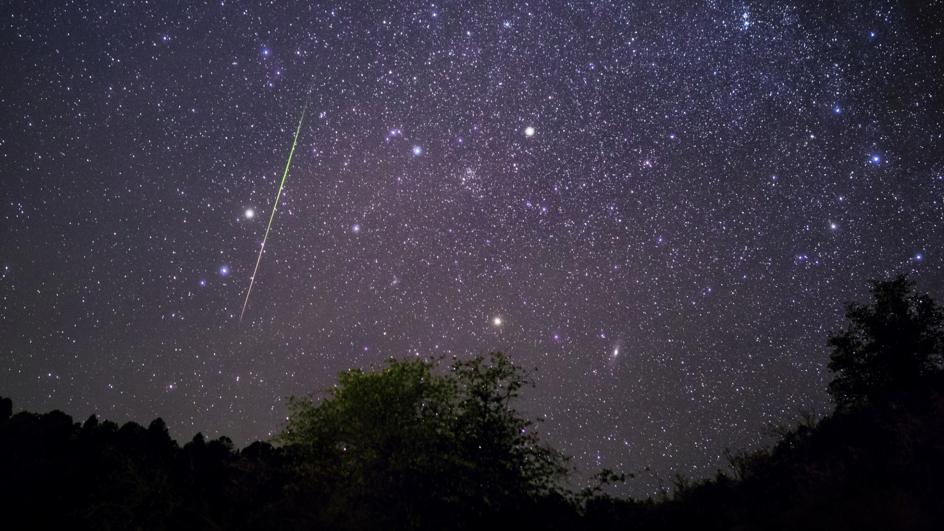 How to watch the meteor showers in the Tampa Bay area | wtsp.com