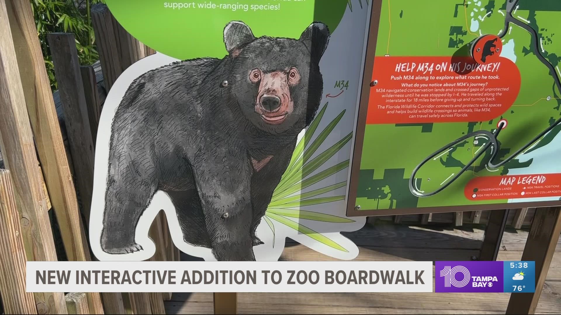 Zoo Tampa unveiled the educational installation Tuesday morning.