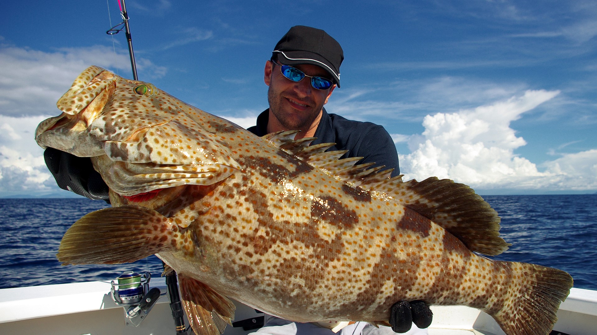 Beginning Jan. 1, grouper and snapper season will see changes