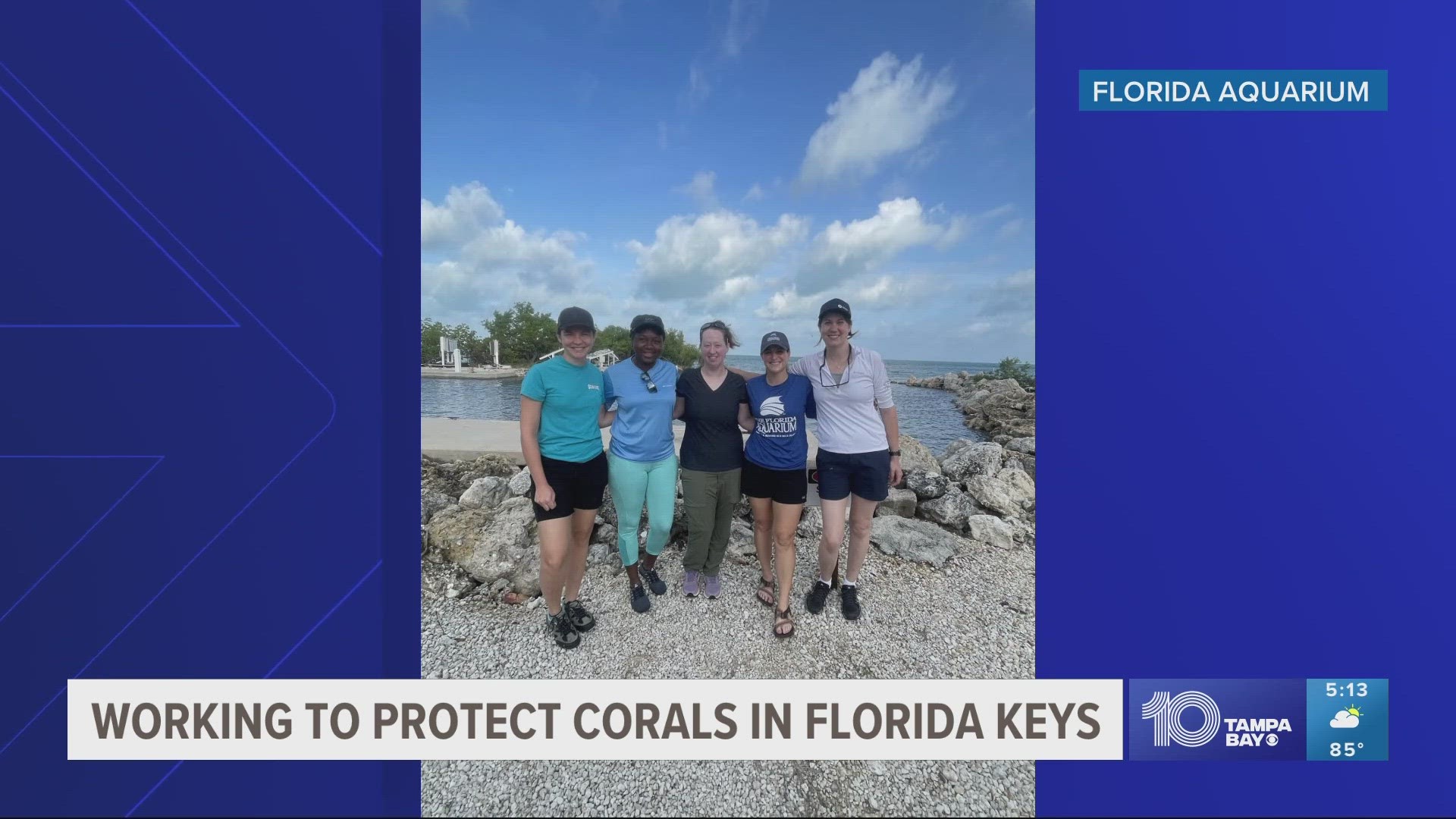 Biologists are trying to prevent the loss of even more coral by moving them out of the ocean and into on-land tanks.