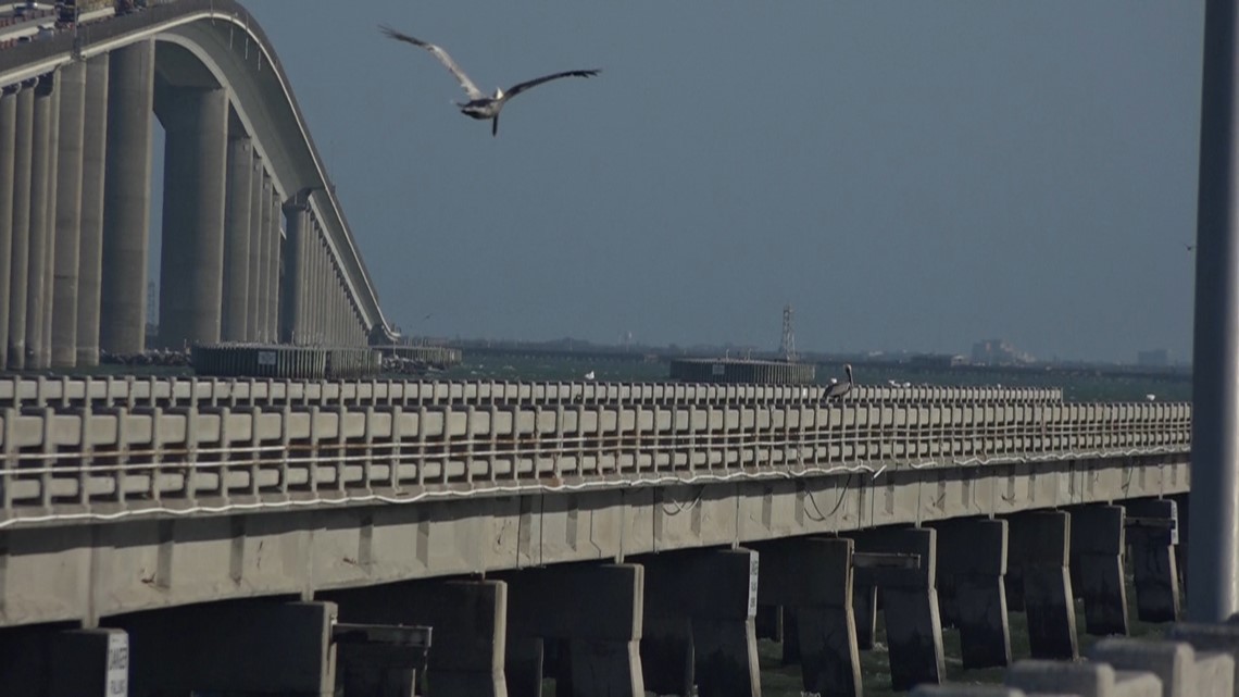 Wildlife groups push for more coastal bird protections at Skyway Fishing Pier