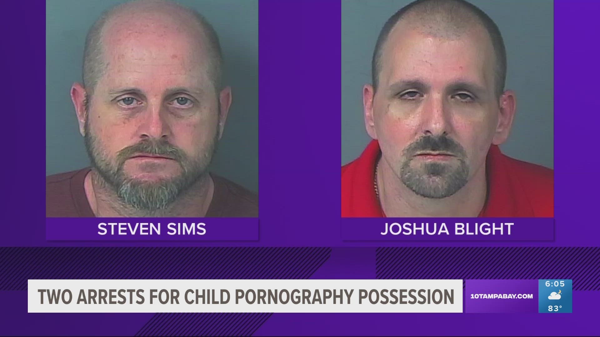 Steven Francis Sims, 48, and 42-year-old Jousha Glenn Blight of Brooksville had a combined total of 163 counts of possession of child pornography.