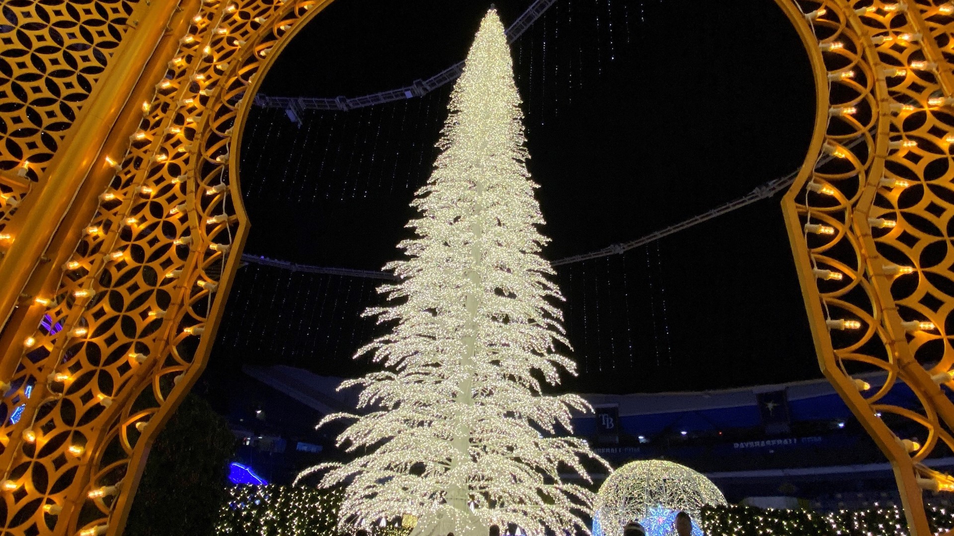 Enchant Christmas light maze in Florida opens for the holidays