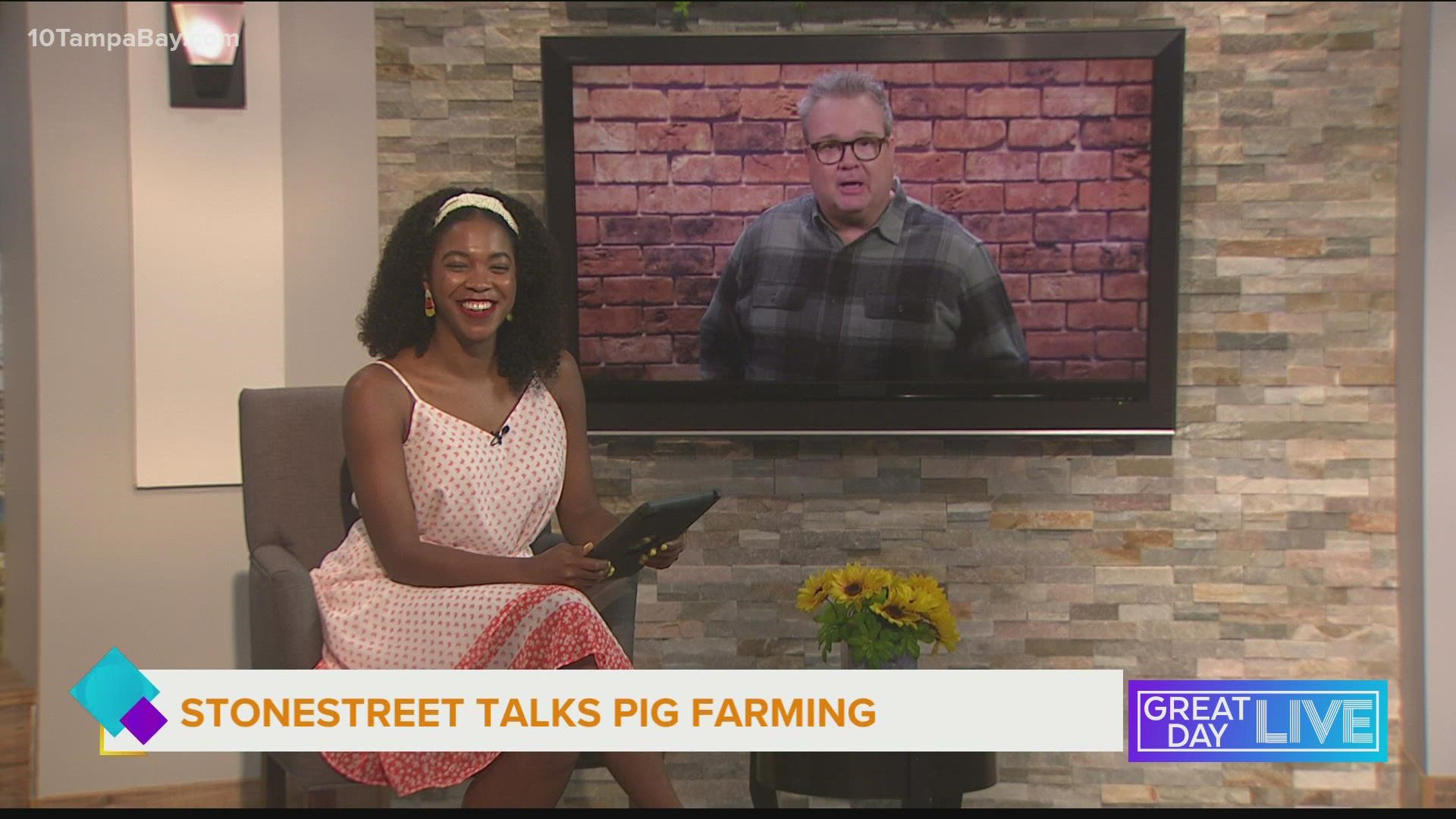 Stonestree talks pig farming