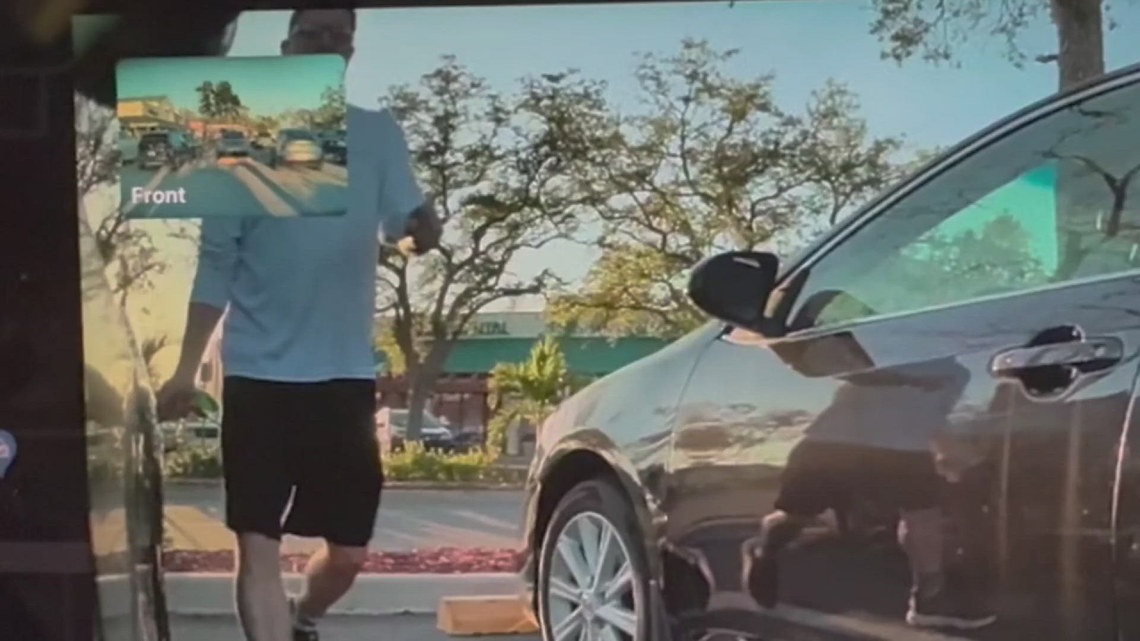 Bradenton police search for man accused of vandalizing 3 Teslas | wtsp.com