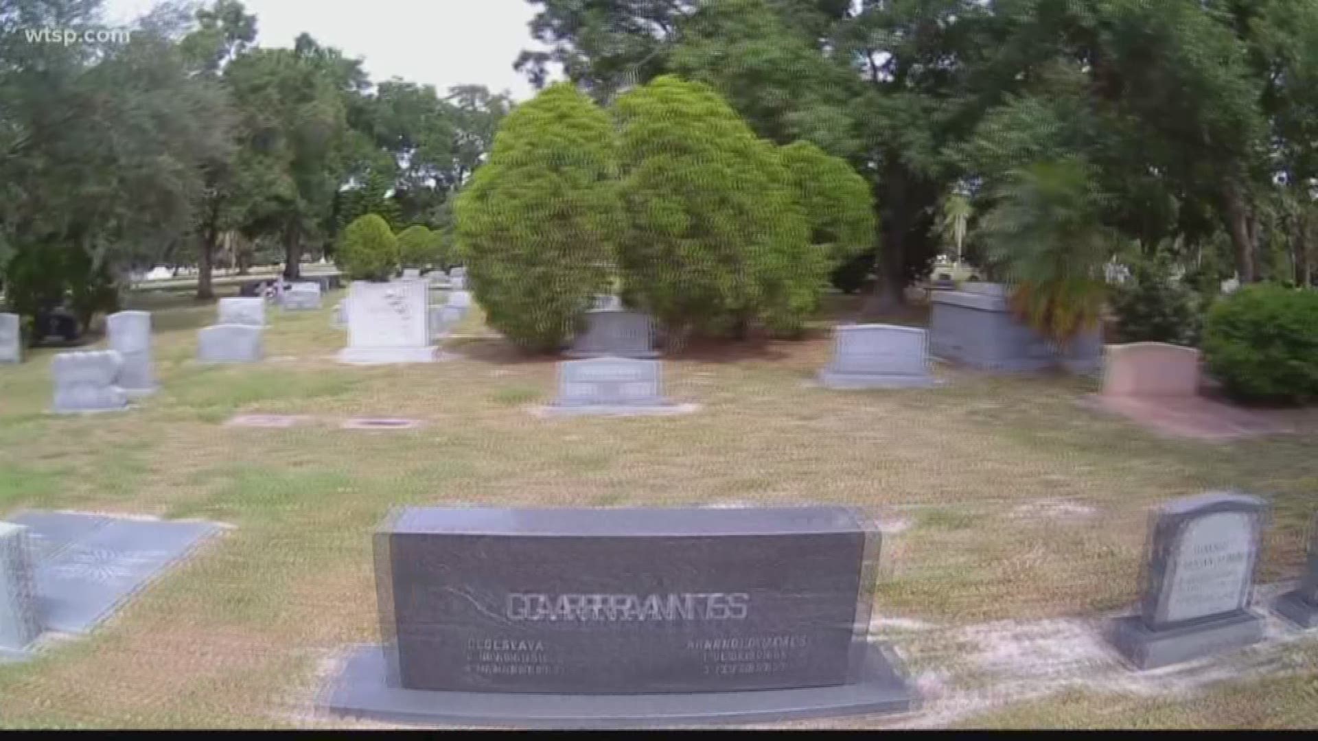 David Lamphier buried his 14-month-old son, John, at the Royal Palm Cemetery South in St. Pete, but there are times when he wishes he'd chosen a different final resting place.