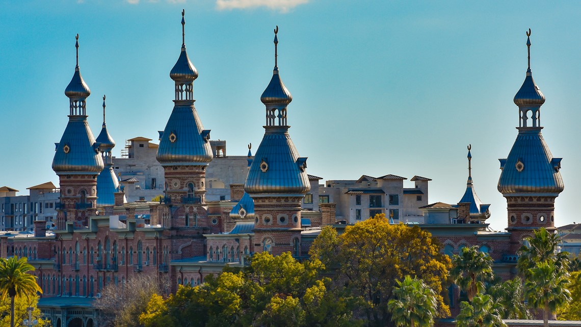University of Tampa president announces retirement - Vimarsana News