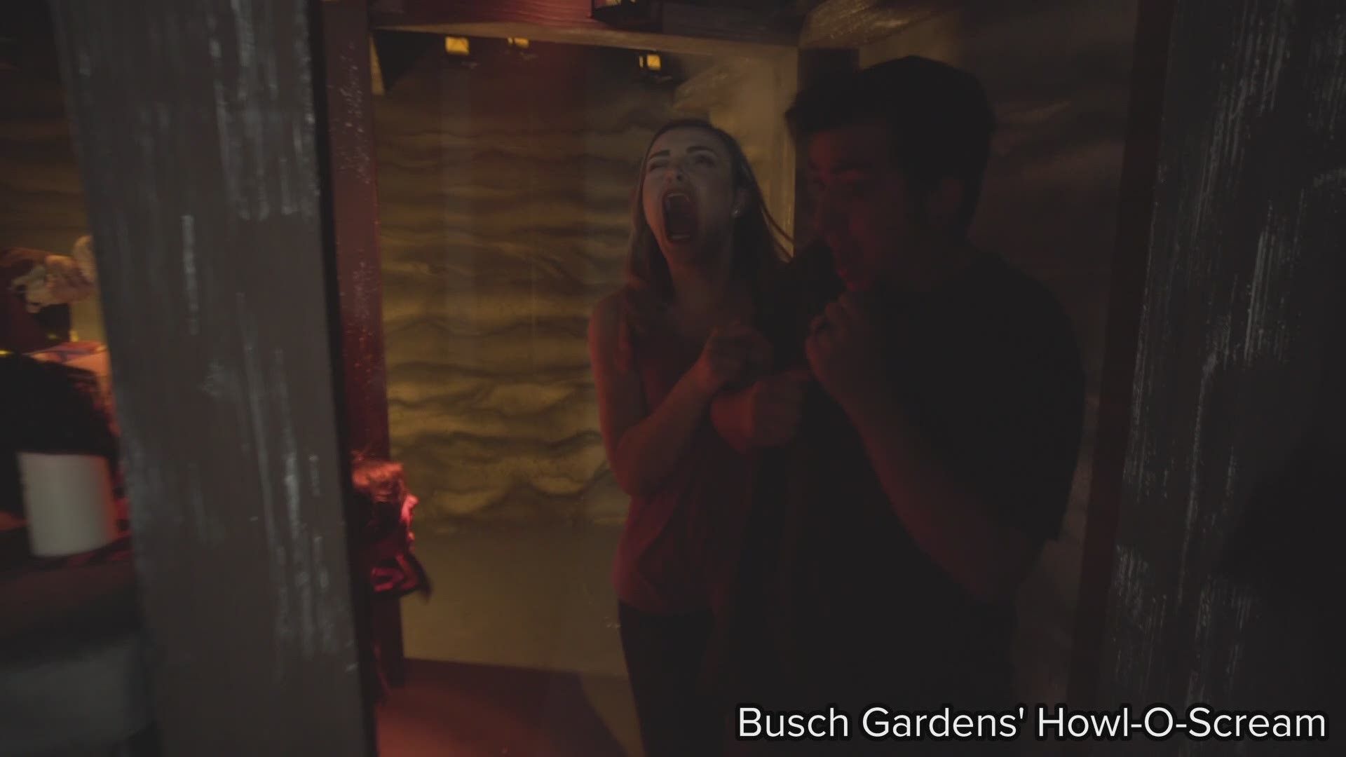 Busch Gardens Tampa celebrates "20 Years of Fear" with the return of Howl-O-Scream. This year's fright fest includes six haunted houses and nine scare zones.