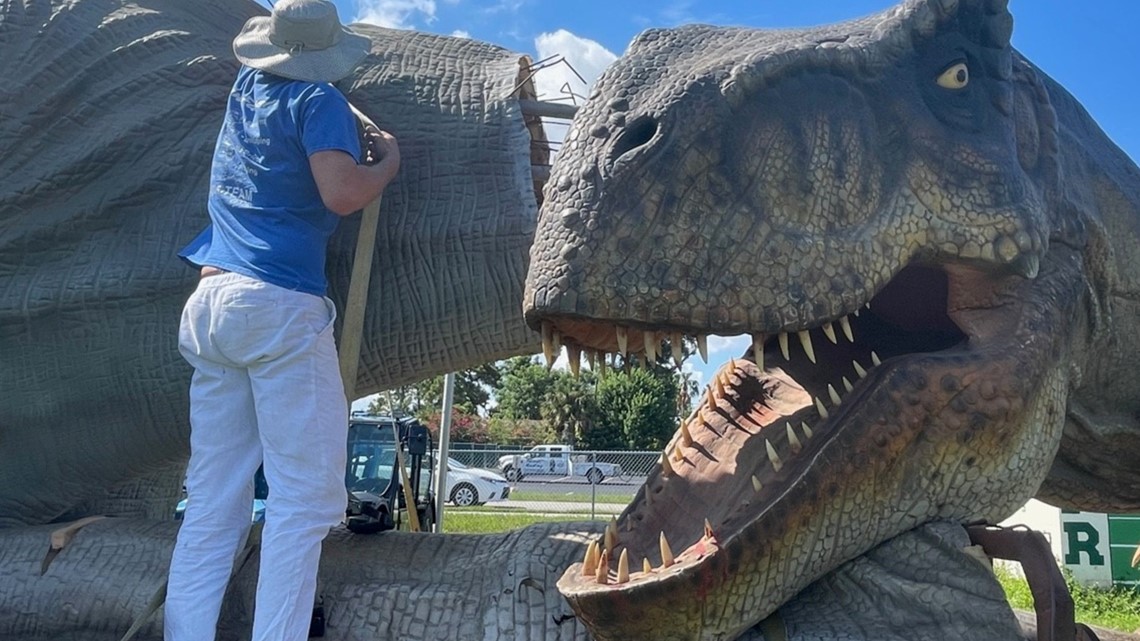 Dino Rescue - Clearwater Marine Aquarium