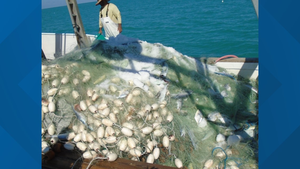 FWC: Fisherman cited for 2,611 pompano over allowable catch limit - Vimarsana News