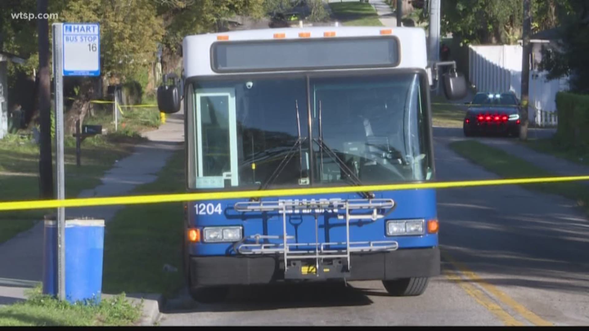 A HART bus driver was cut several times in the leg over an argument about the bus fare in the city's Sulphur Springs neighborhood, Tampa police say.