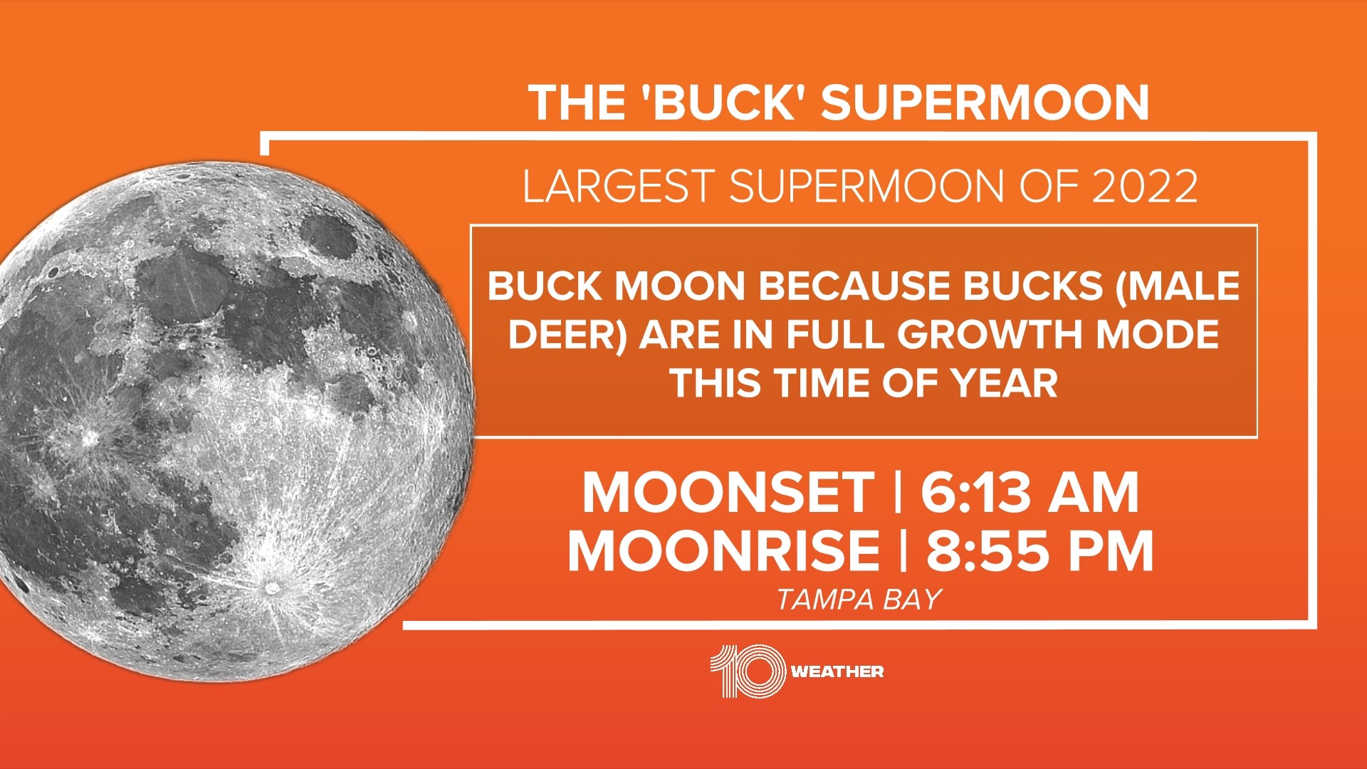 Here's how to see the 'buck' supermoon in Florida