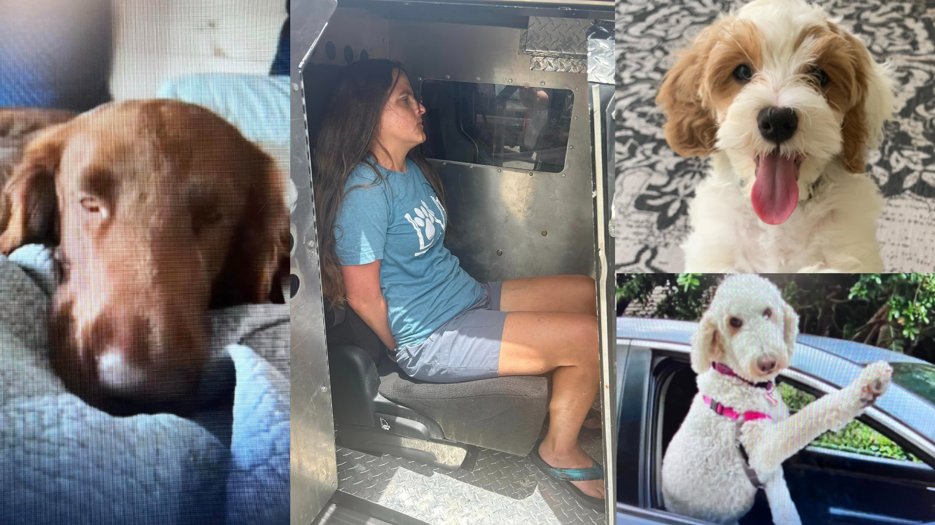 Florida woman charged with animal cruelty after dog deaths | wtsp.com
