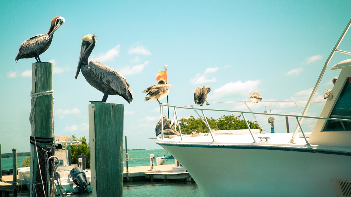 Florida surpasses 1 million registered vessels - Vimarsana News