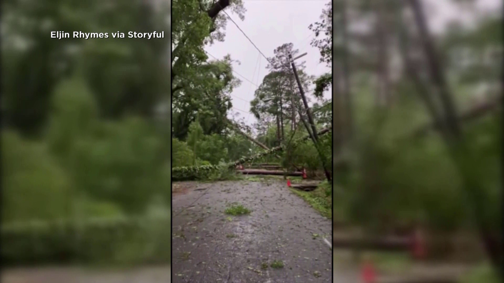 Possible tornadoes downed trees, damaged property and sent debris flying Friday morning across parts of Tallahassee.