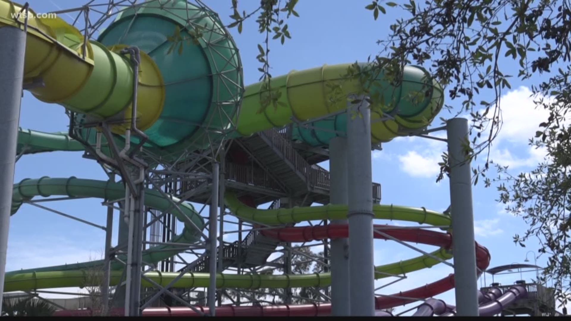 The Tampa water park is next to Busch Gardens.