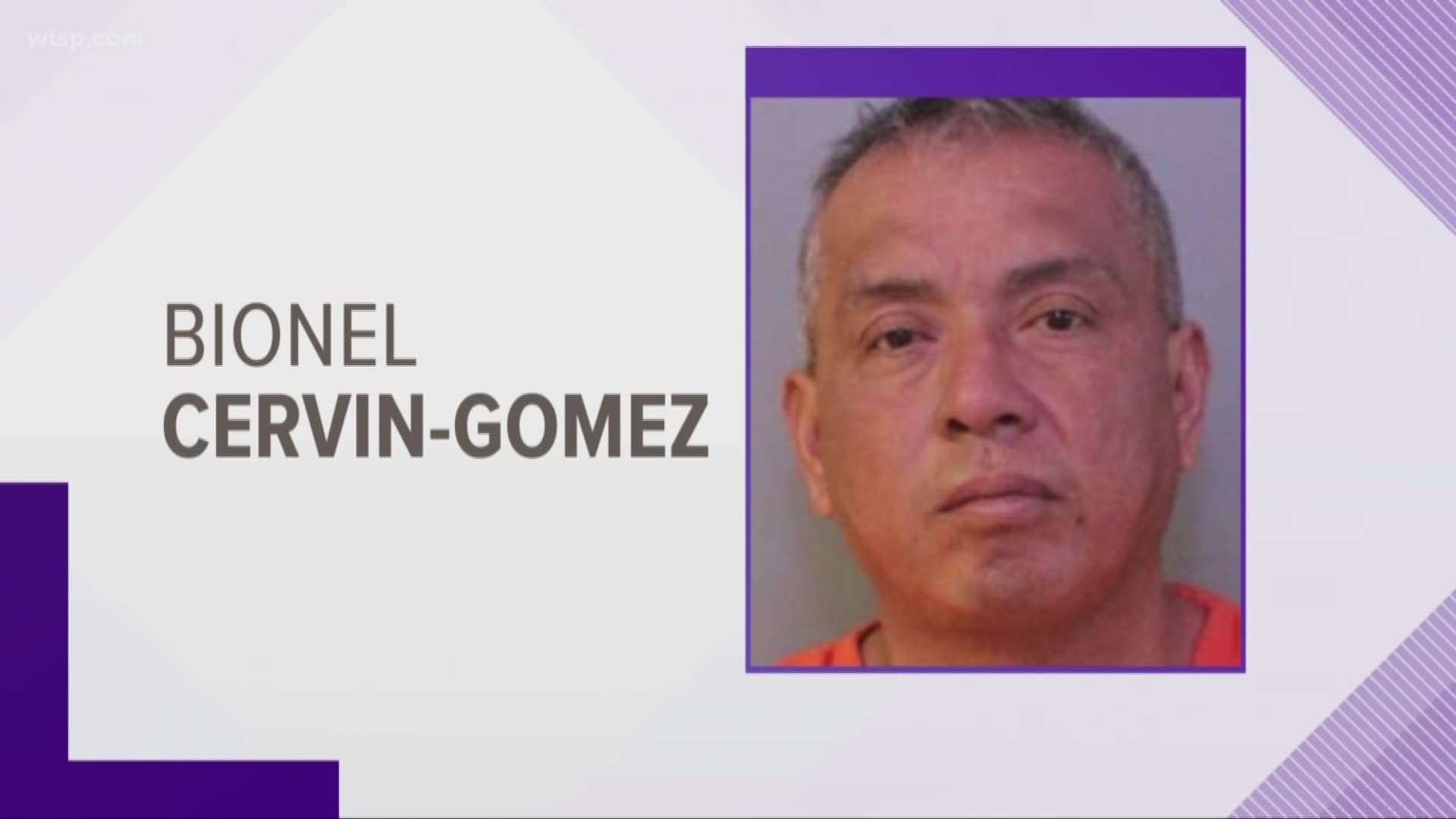 A man who the Polk County Sheriff's Office called an "illegal immigrant" has been arrested for leaving the scene of a crash that injured a pregnant woman and led to the death of her unborn child.

Bionel Cervin-Gomez, 48, was captured Saturday in the area of 2600 Watson Road in Haines City, the sheriff's office said.