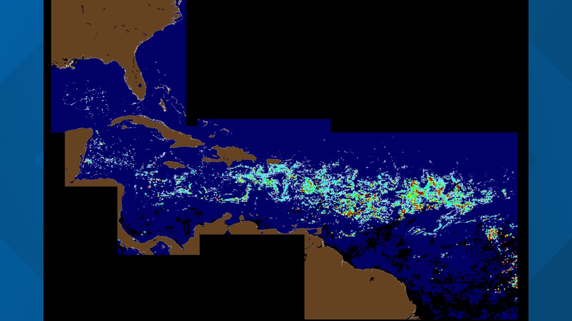 Florida Seaweed Blob with Flesh Eating Bacteria D007a96e-9bc5-4cc3-a423-e48a9c46adee_1140x641